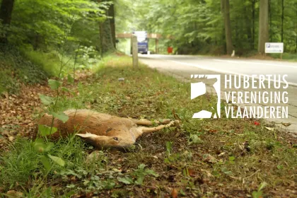 Bigger view of Hubertus VerenigingSécurité routière
